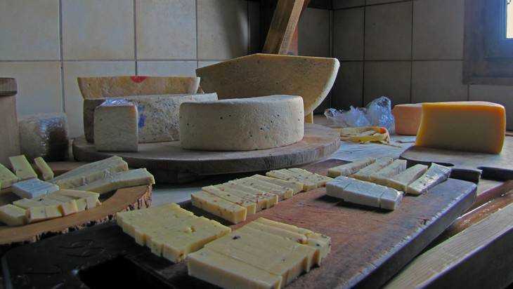 Брянская область выбилась в пятерку лидеров по производству сыра