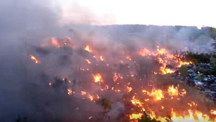 Брянская полиция начала расследовать крупный пожар на жуковском полигоне