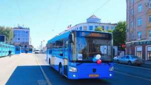 Власти Брянска разрешили по троллейбусным проездным ездить на автобусе