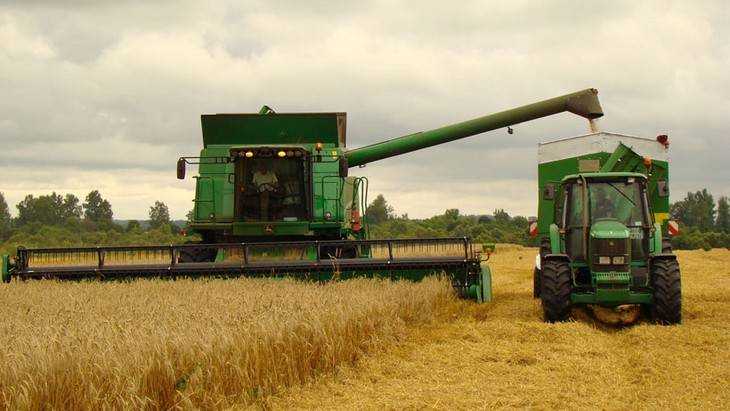 В Брасовском районе аграрии сообщили о рекордном урожае зерновых