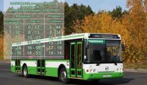 От автовокзала до аэропорта «Брянск» стал ходить автобус №132