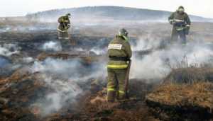 В Погарском районе с торфяным пожаром сражаются 20 спасателей