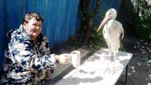 В Почепском районе Брянщины открыли приют для птиц «Крылья мира»