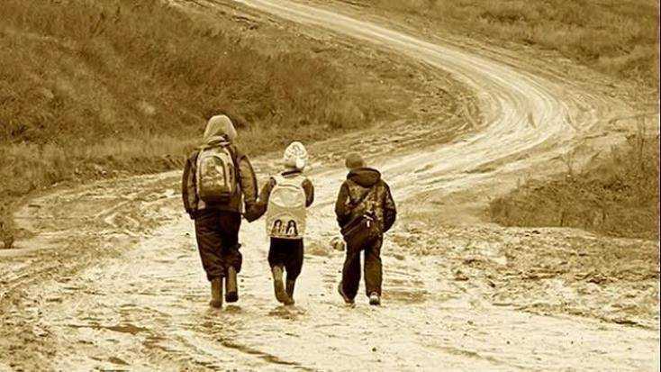 В брянском посёлке Солнце дети ходили в школу 2,5 км пешком