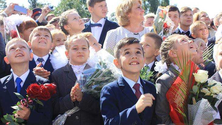 Образование Брянской области получит 38 миллионов рублей субсидии