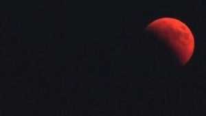 Брянцы в соцсетях опубликовали фотографии «кровавой Луны»