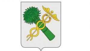В брянском городе Новозыбкове утвердили герб с коноплёй