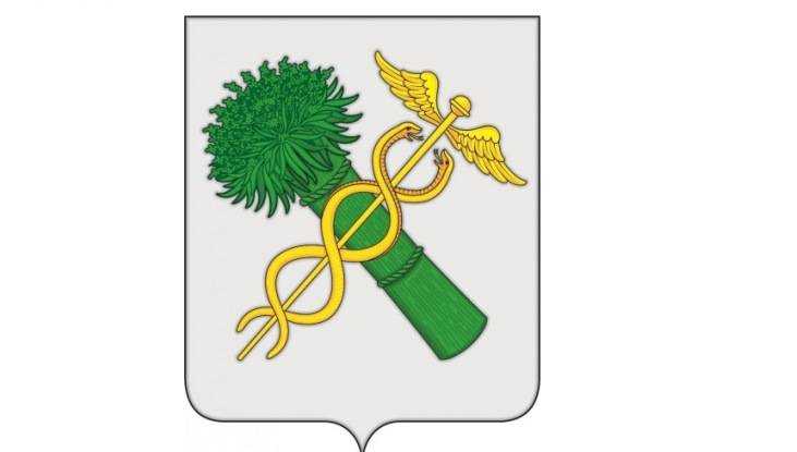 В брянском городе Новозыбкове утвердили герб с коноплёй