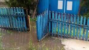 В Брянске во время ливня из-за канализации затопило частные дома‍