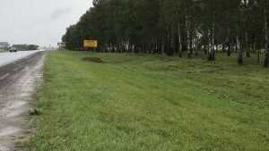 Водителя из Белоруссии удивила чистота обочин брянских дорог