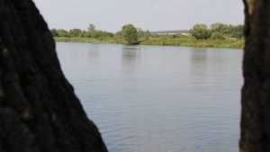 В Брянской области в июне утонули 23 человека