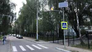 В Брянске около гимназии установили предупреждающий светофор
