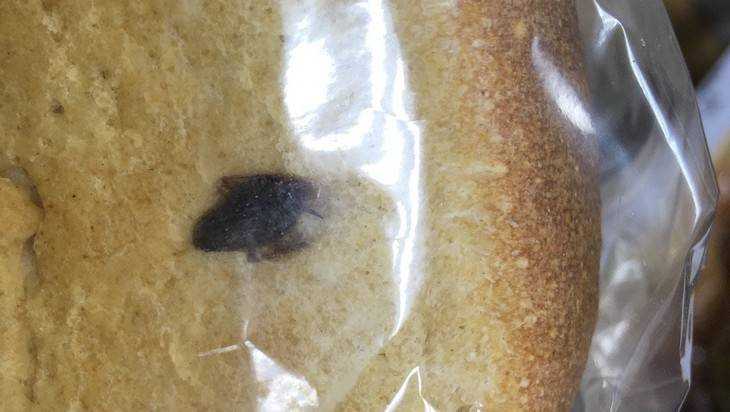 Житель Клинцов купил в магазине черный хлеб с черным тараканом