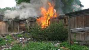 В Брянске потушили горевший сарай в садоводческом обществе «Богатырь»