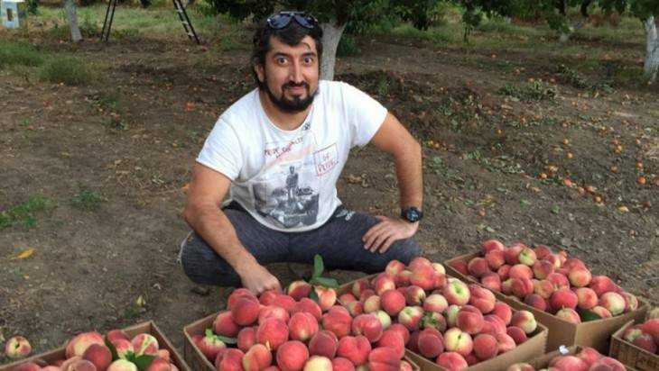 Торговцы попросили наладить доставку кавказских фруктов в Брянск