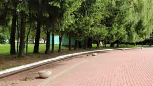 Мэрия Брянска объяснила отсутствие туалетов в парке возле Кургана