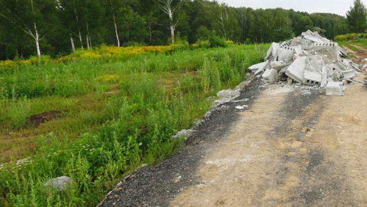 Власти Брянска объяснили странную каменоломню на дороге