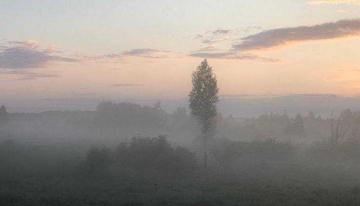 Последнее утро брянского лета будет туманным