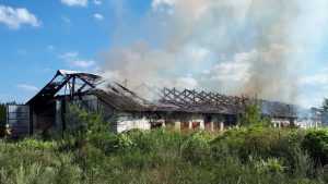 В брянском поселке Локоть загорелся коровник завода около домов