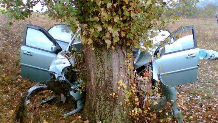 Под Брянском 77-летний водитель Lada Vesta врезался в дерево