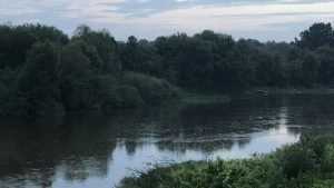 В Погаре в реке Судости утонул 36-летний мужчина‍