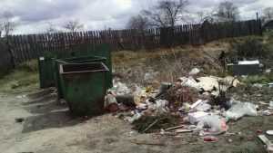 Брянская прокуратура занялась утопающим в мусоре посёлком Навля