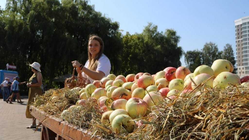 На Кургане Бессмертия в Брянске прошел солнечный фестиваль «Яблочный Спас»