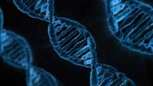 В «Сколково» создали дешевый тест на ДНК