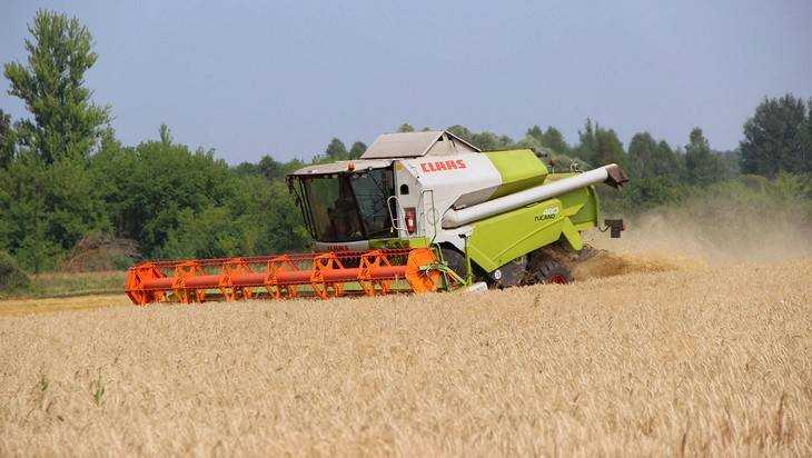 На полях Брянской области убрали 80 процентов зерновых