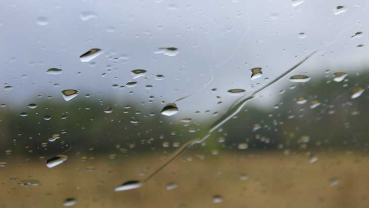 Жителей Брянщины предупредили о ливне и ураганном ветре в понедельник
