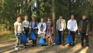 Брянские школьники собрали жёлуди в рамках акции «Живи, лес!»