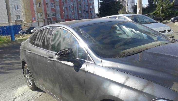 В Брянске женщине отомстили оскорбительными надписями на ее автомобиле