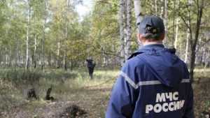 Под Брянском в лесу нашли заблудившуюся 78-летнюю пенсионерку