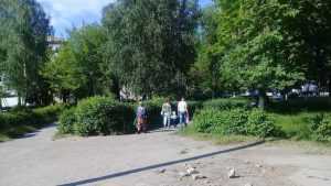Жители Брянска попросили не уничтожать сквер ради детского сада