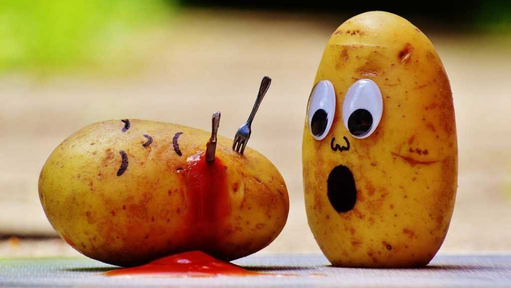 В Брянской области в августе рекордно подешевел картофель‍