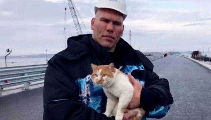 Брянский депутат Валуев высказался о запрете на поедание кошек и собак