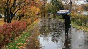 Брянской области 28 октября пообещали дождь и 12-градусное тепло
