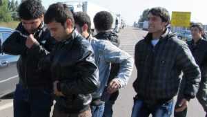 В Брянской области на границе задержали 16 нарушителей
