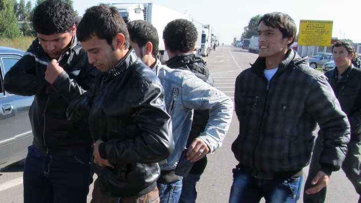 В Брянской области на границе задержали 16 нарушителей