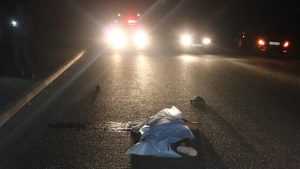 Ночью в Клетне насмерть сбили пешехода