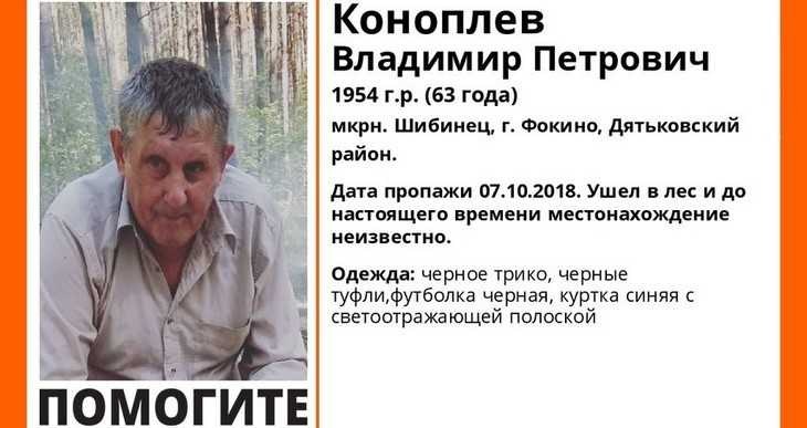В Брянской области пропал 63-летний грибник Владимир Коноплев