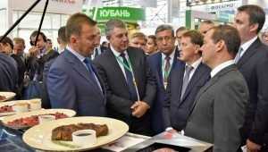 Главу правительства Дмитрия Медведева пригласили в Брянскую область