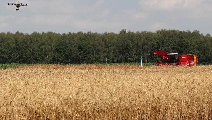 Сельское производство Брянской области выросло на 1,9 процента