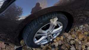В Брянске изрезали колеса двух автомобилей во дворах