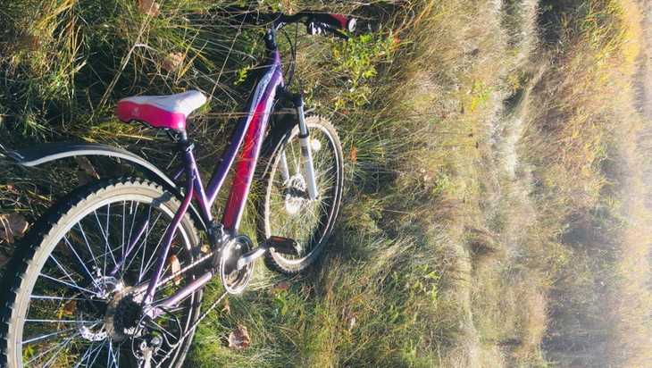 В соцсетях сообщили об эпидемии краж велосипедов в Брянске