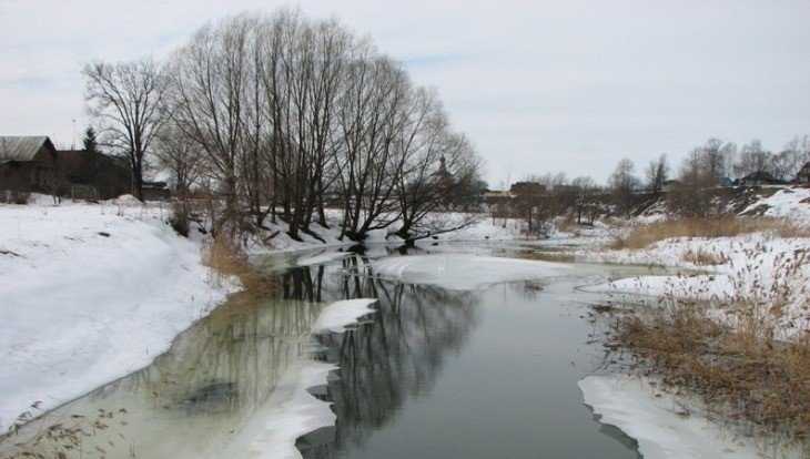 В Брянской области 7-градусный мороз сменится оттепелью