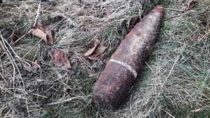 В Дубровском районе в поле нашли три снаряда времен войны