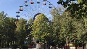 Брянские власти пообещали заменить старое колесо обозрения‍ в парке