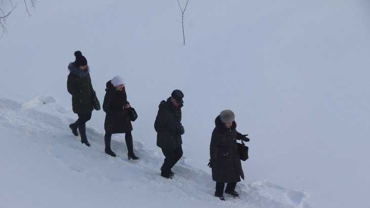 МЧС предупредило о 19-градусном морозе в Брянской области