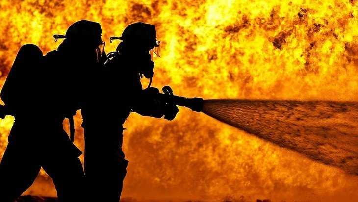 В Брянске во время пожара в своем доме погиб 80-летний пенсионер‍
